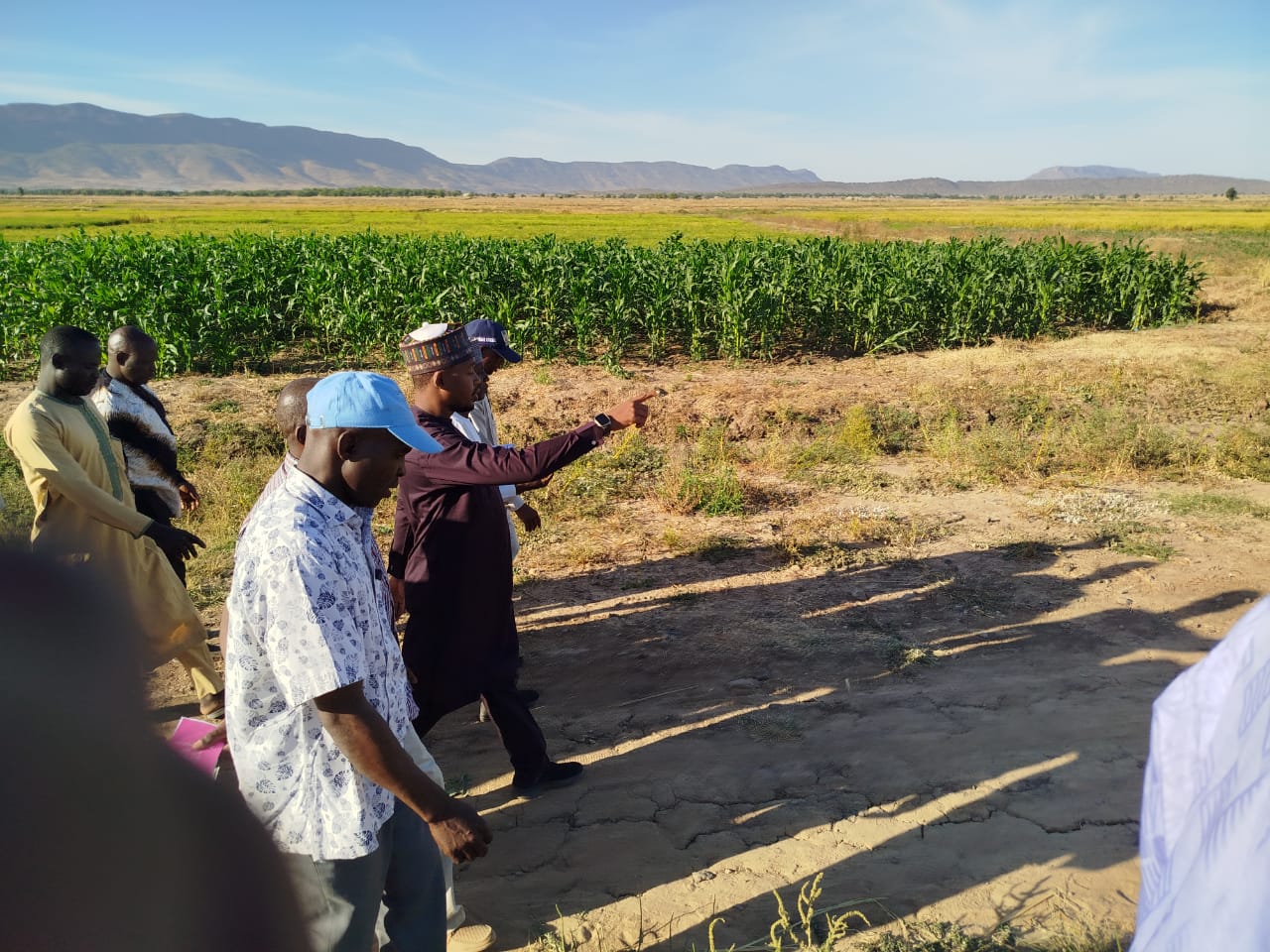 Borno’s Commissioner of Agriculture Visits Wheat Scheme Farming System in Ngebe Village, Biu LGA.